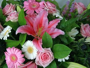 Preview wallpaper gerberas, lilies, roses, flower, leaf