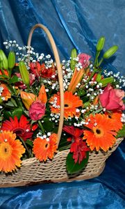 Preview wallpaper gerberas, roses, lilies, gypsophila, basket, composition, fabric