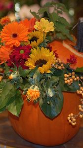 Preview wallpaper gerberas, sunflowers, flowers, berries, flower, pumpkin, composition