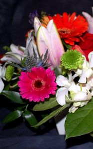 Preview wallpaper gerberas, tulips, chrysanthemums, flowers, bouquets, composition, leaves