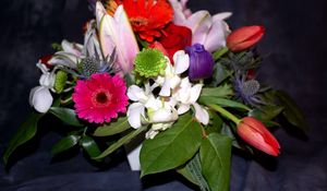 Preview wallpaper gerberas, tulips, chrysanthemums, flowers, bouquets, composition, leaves