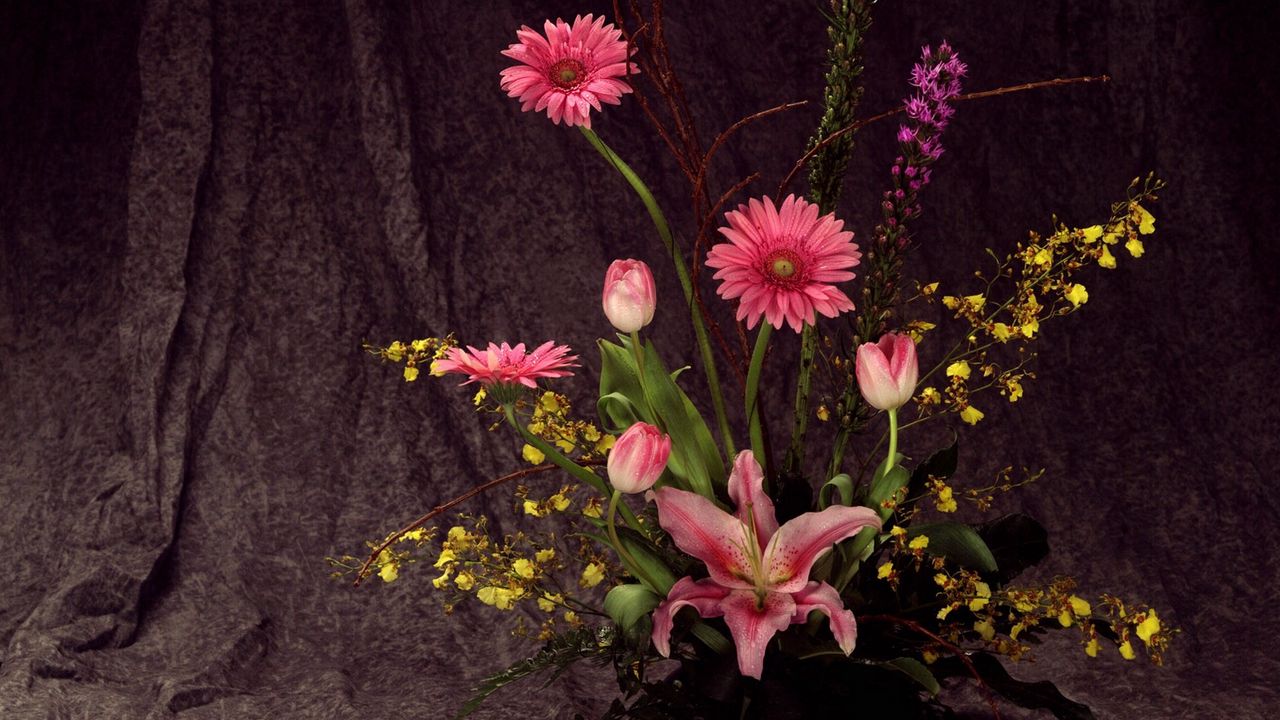 Wallpaper gerberas, tulips, flowers, song, lily, ikebana