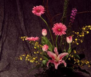 Preview wallpaper gerberas, tulips, flowers, song, lily, ikebana
