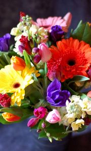 Preview wallpaper gerberas, tulips, flowers, bouquets, composition, design