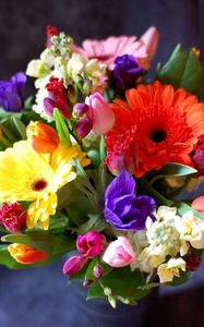 Preview wallpaper gerberas, tulips, flowers, bouquets, composition, design