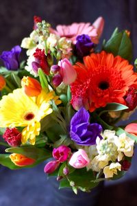 Preview wallpaper gerberas, tulips, flowers, bouquets, composition, design