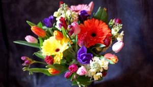 Preview wallpaper gerberas, tulips, flowers, bouquets, composition, design