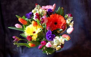 Preview wallpaper gerberas, tulips, flowers, bouquets, composition, design