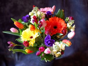 Preview wallpaper gerberas, tulips, flowers, bouquets, composition, design