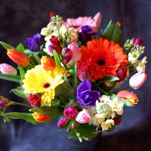 Preview wallpaper gerberas, tulips, flowers, bouquets, composition, design