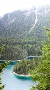 Preview wallpaper germany, bavaria, munich, forest, river, trees