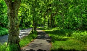 Preview wallpaper germany, wetzlar, park, trees, summer, hdr