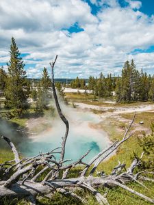 Preview wallpaper geyser, steam, water, trees, nature