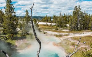 Preview wallpaper geyser, steam, water, trees, nature