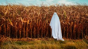 Preview wallpaper ghost, glasses, sheet, field, corn, funny