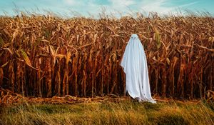Preview wallpaper ghost, glasses, sheet, field, corn, funny