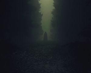 Preview wallpaper ghost, silhouette, cloak, forest, trees, dark