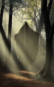 Preview wallpaper ghost, silhouette, trees, forest, light, art, fantasy