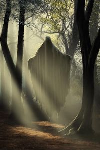 Preview wallpaper ghost, silhouette, trees, forest, light, art, fantasy