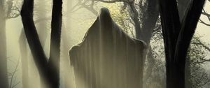 Preview wallpaper ghost, silhouette, trees, forest, light, art, fantasy