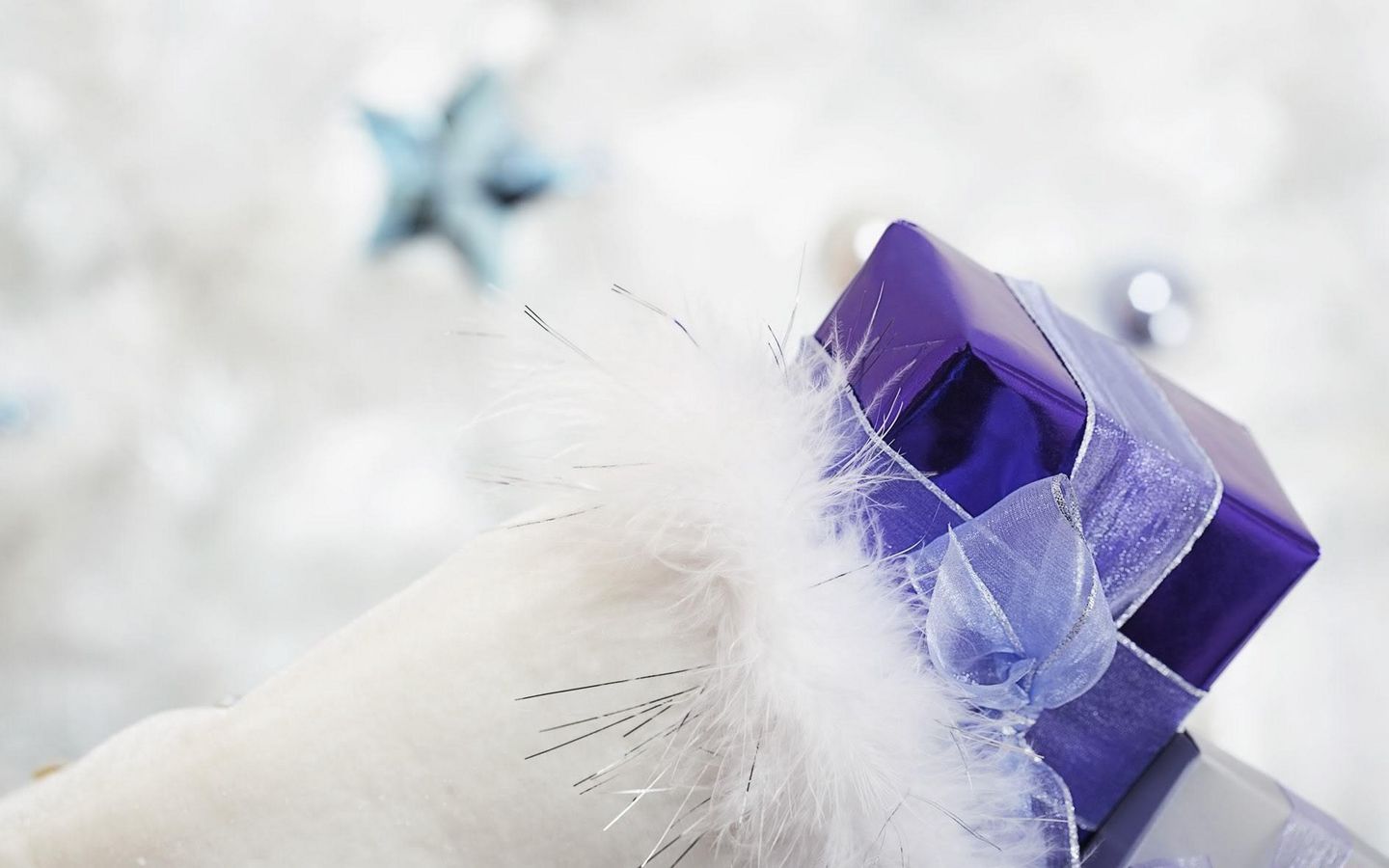 1440x900 Wallpaper gift, ribbon, feathers, holiday