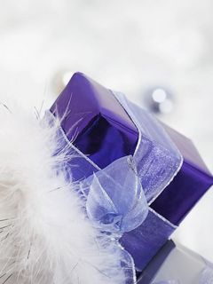 240x320 Wallpaper gift, ribbon, feathers, holiday