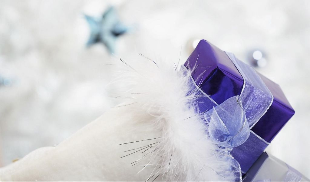 1024x600 Wallpaper gift, ribbon, feathers, holiday