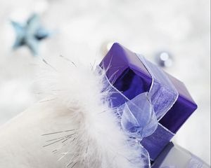 Preview wallpaper gift, ribbon, feathers, holiday
