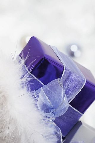 320x480 Wallpaper gift, ribbon, feathers, holiday