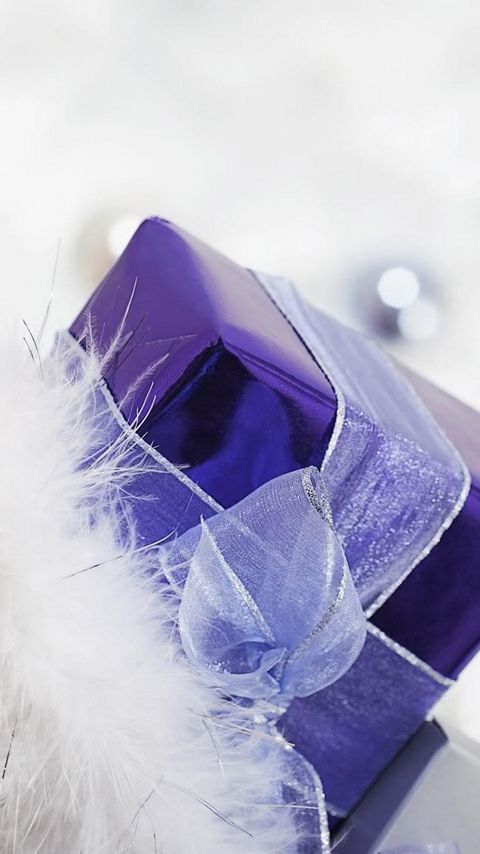 480x854 Wallpaper gift, ribbon, feathers, holiday