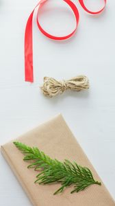 Preview wallpaper gift, ribbon, needles, branch, craft, new year, christmas