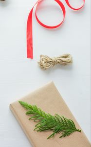 Preview wallpaper gift, ribbon, needles, branch, craft, new year, christmas