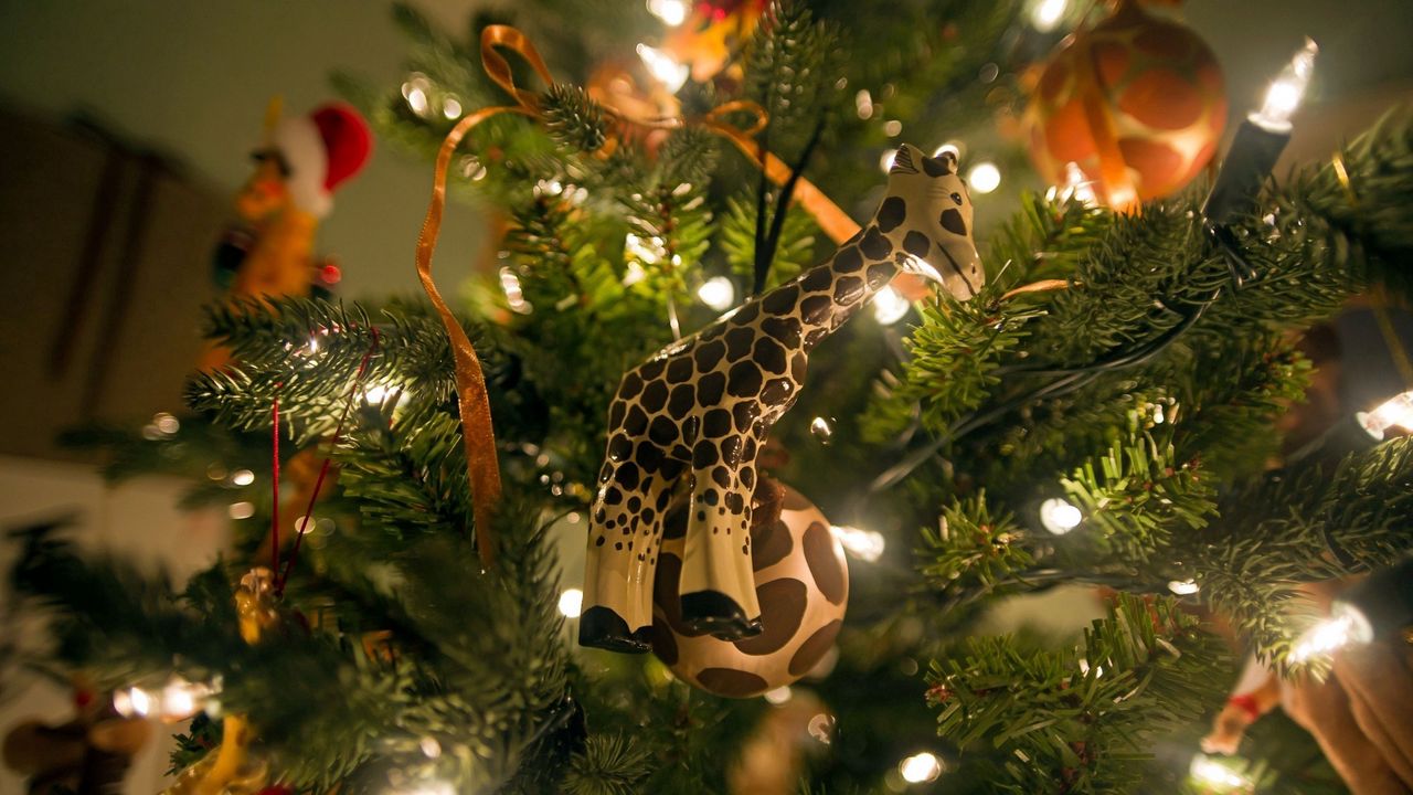 Wallpaper giraffe, tree, gifts, new year