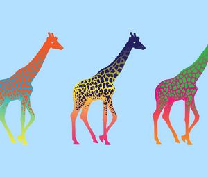 Preview wallpaper giraffes, three, series, colorful
