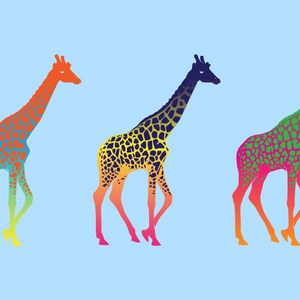 Preview wallpaper giraffes, three, series, colorful