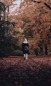 Preview wallpaper girl, alone, autumn, park, walk