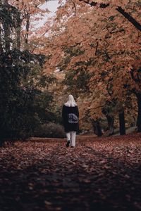 Preview wallpaper girl, alone, autumn, park, walk