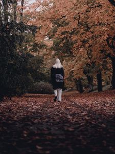 Preview wallpaper girl, alone, autumn, park, walk