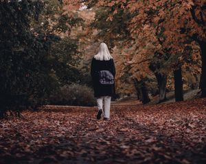 Preview wallpaper girl, alone, autumn, park, walk