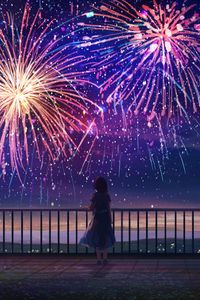 Preview wallpaper girl, alone, fireworks, anime, art