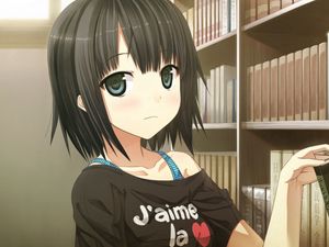 Preview wallpaper girl, anime, books, library