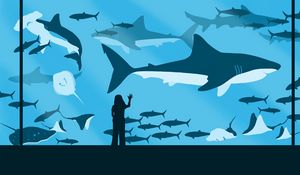 Preview wallpaper girl, aquarium, fish, sharks