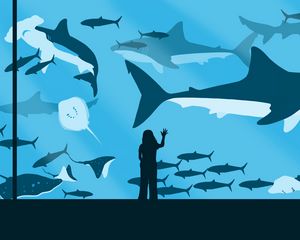 Preview wallpaper girl, aquarium, fish, sharks