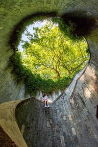 Preview wallpaper girl, architecture, stairs, bottom view, trees