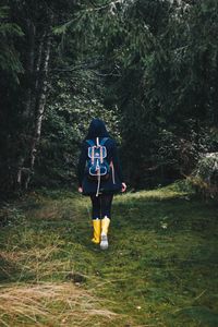 Preview wallpaper girl, backpack, forest, walk, fall