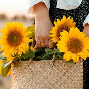 Preview wallpaper girl, bag, sunflowers, hands, flowers