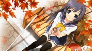 Preview wallpaper girl, bench, food, autumn, foliage