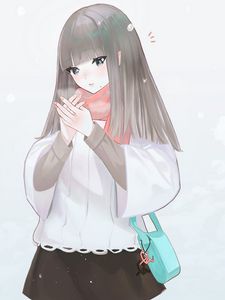 Preview wallpaper girl, blush, cold, anime