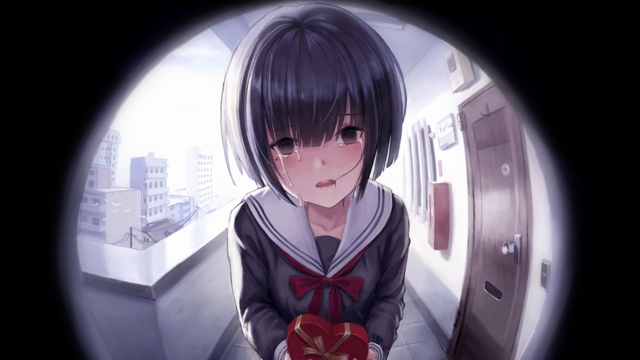 Wallpaper girl, blush, tears, fisheye, anime