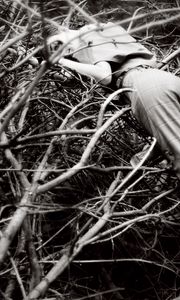 Preview wallpaper girl, branch, bw, look